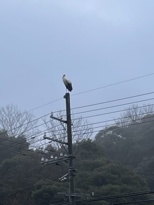 ありえない日常